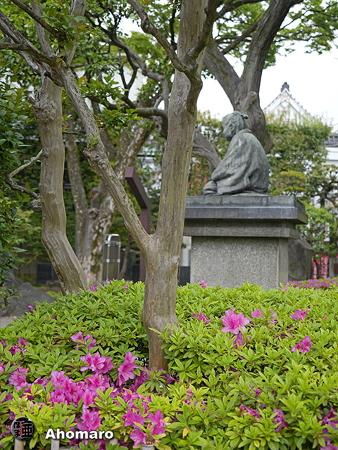 写真00
