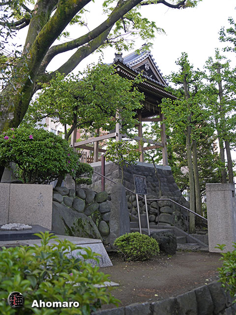 写真00