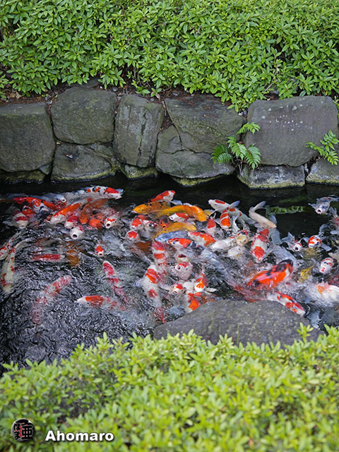写真00