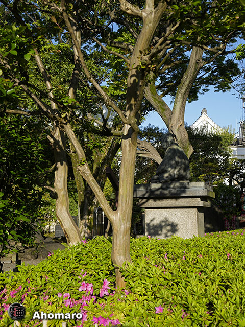 写真00
