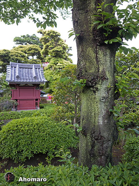 写真00