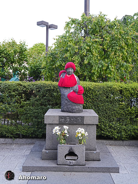 写真00