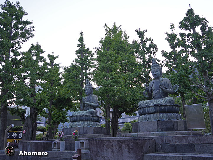 写真00