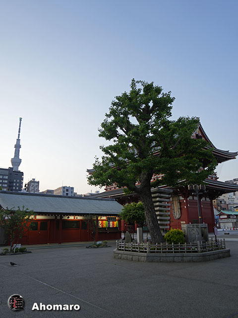 写真00