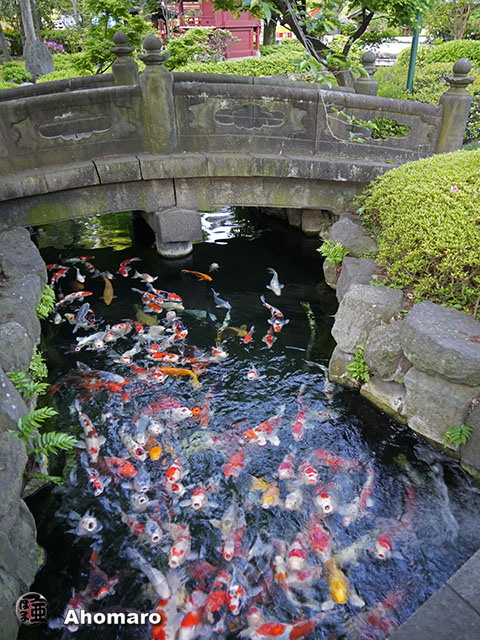 写真00