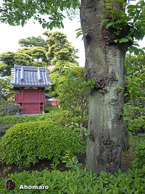 写真00