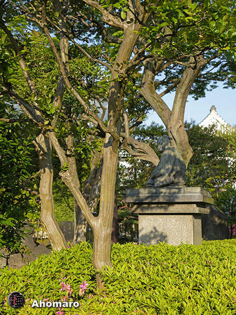 写真00