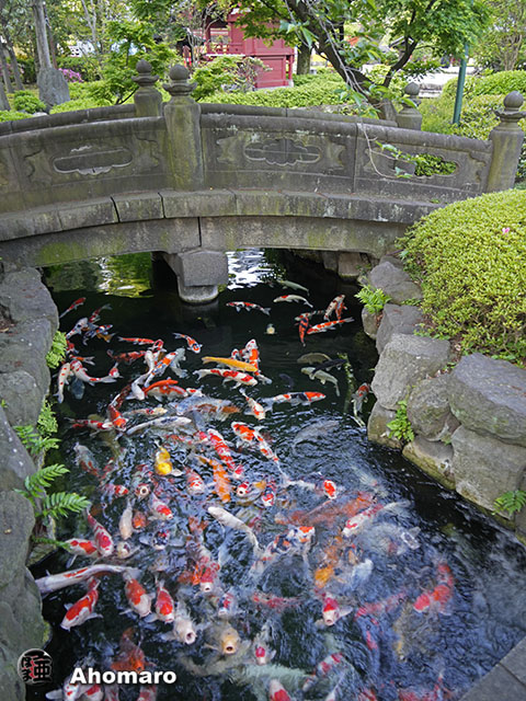 写真00