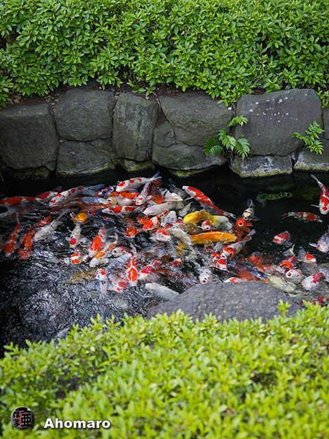 写真00