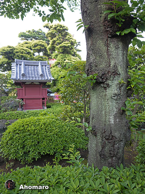 写真00