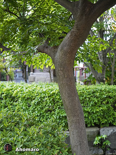 写真00