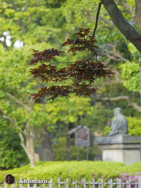 写真00