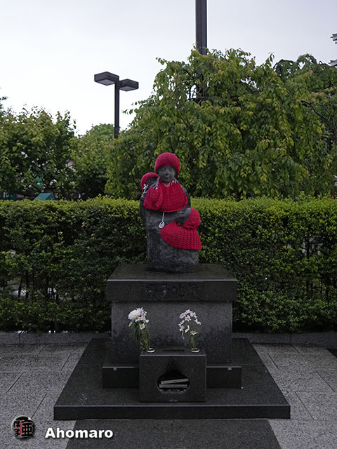 写真00
