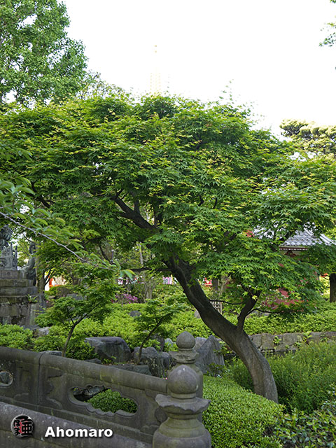 写真00