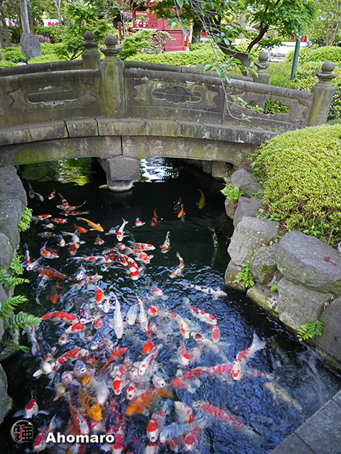 写真00