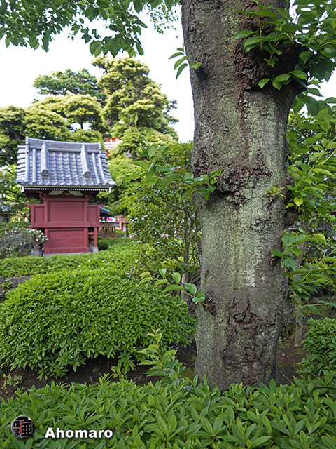 写真00