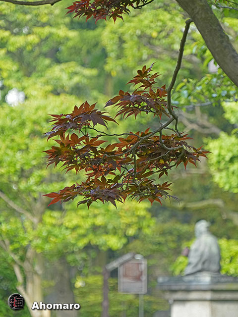 写真00