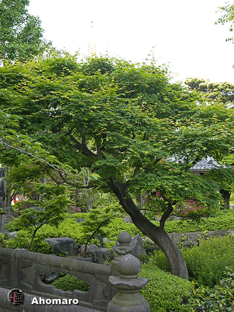 写真00