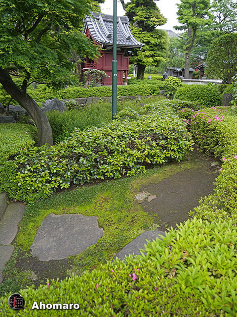 写真00