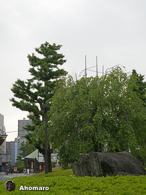写真00