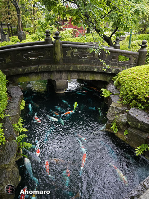 写真00