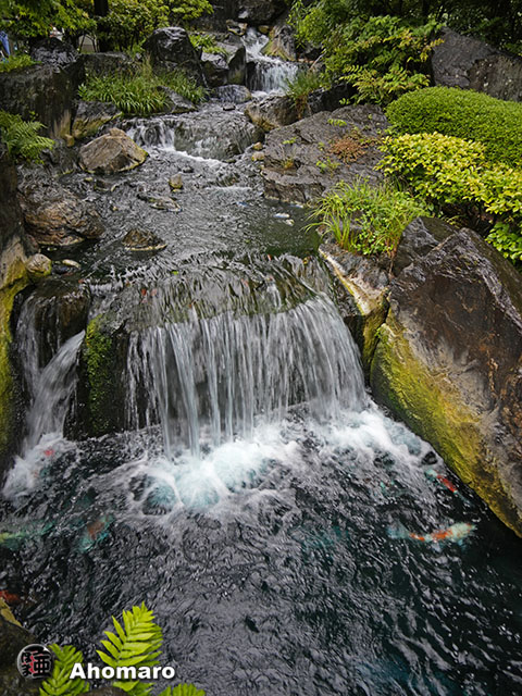 写真00