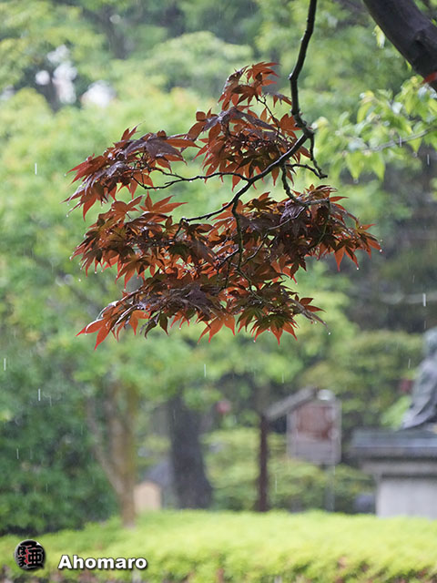 写真00