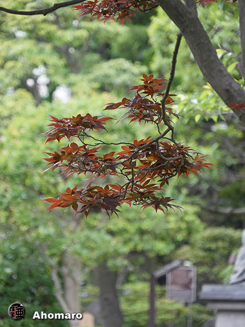 写真00