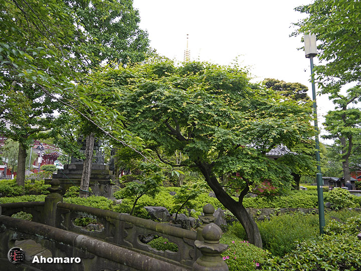 写真00