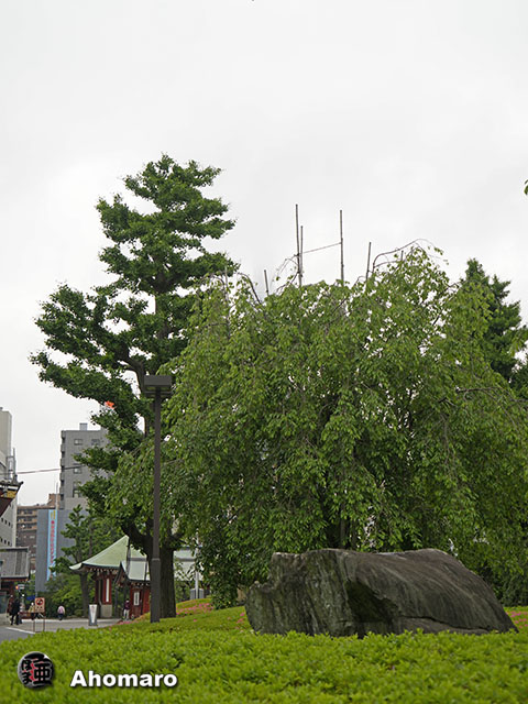 写真00