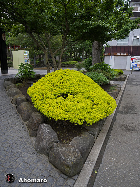 写真00