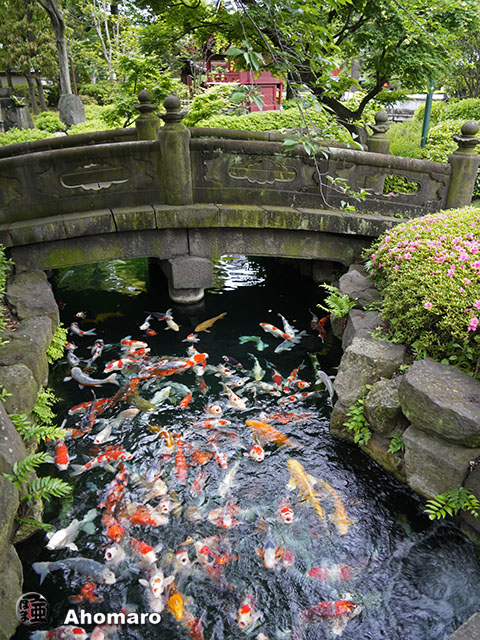 写真00