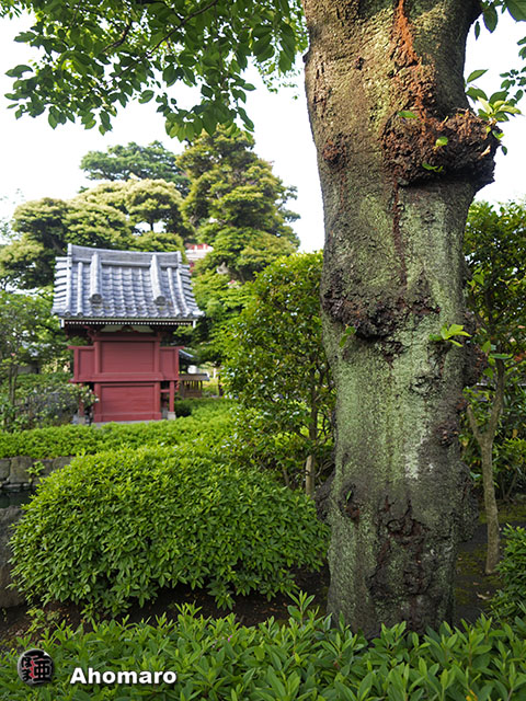 写真00