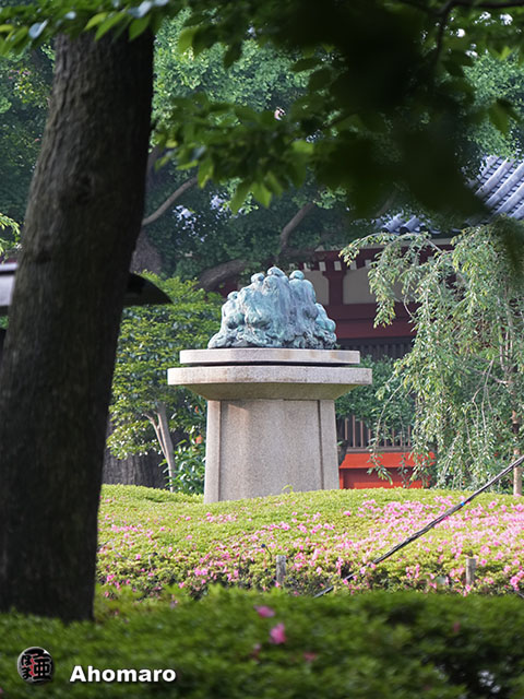 写真00