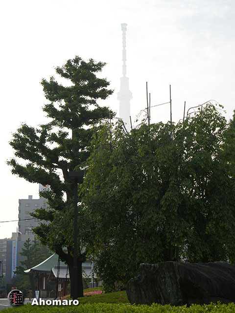 写真00