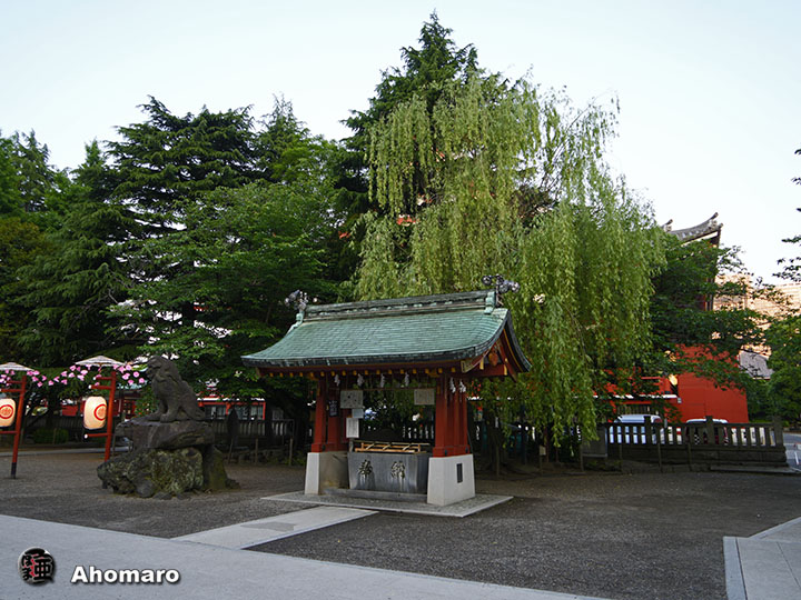 写真00