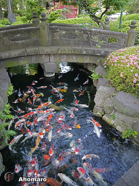 写真00