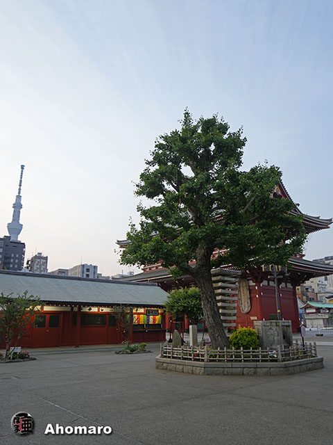 写真00