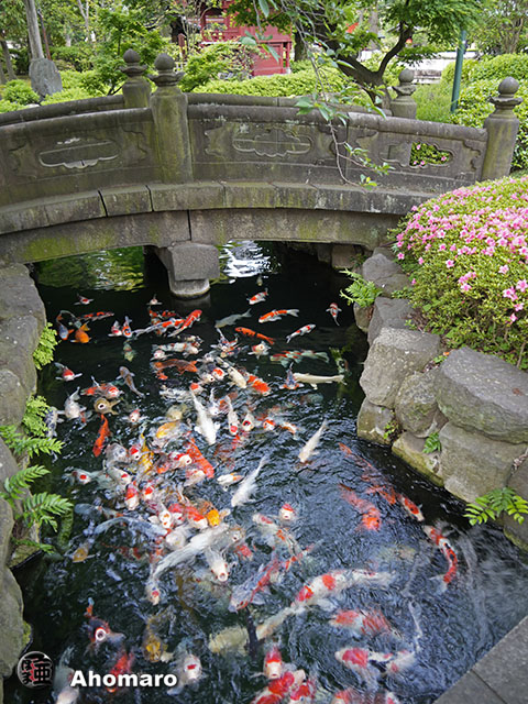 写真00