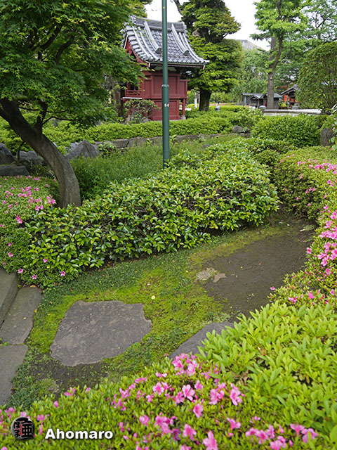 写真00