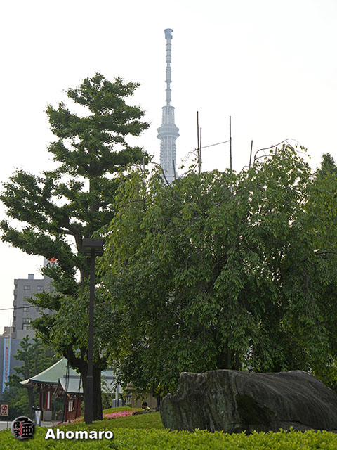 写真00