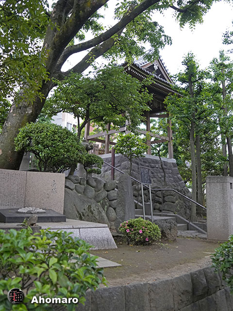 写真00
