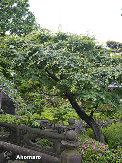 写真00
