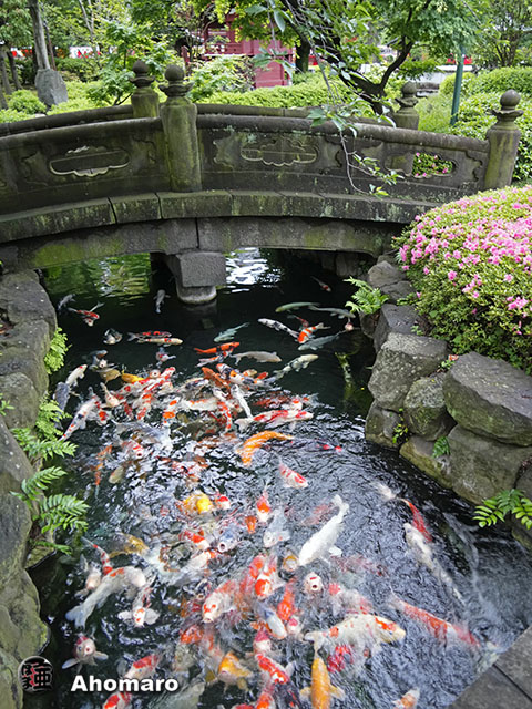 写真00