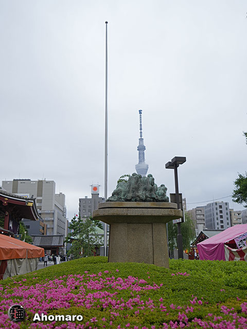 写真00