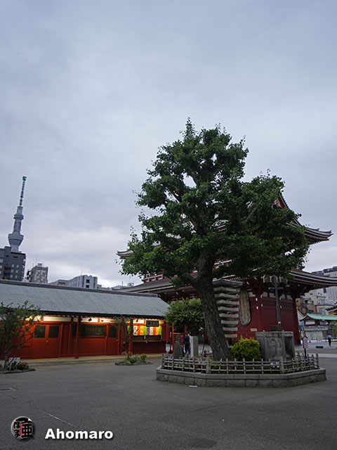 写真00