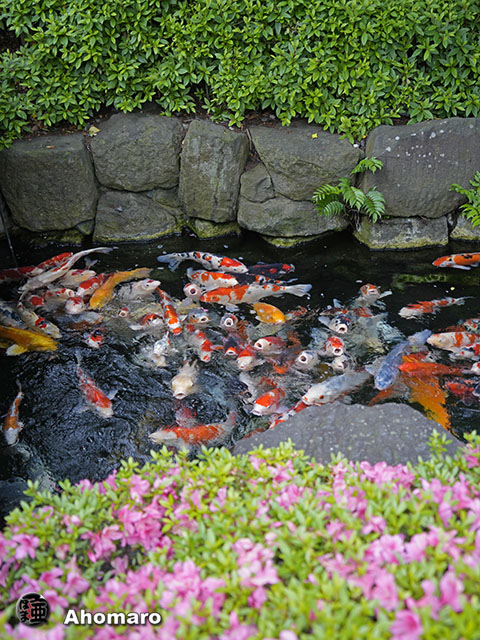 写真00
