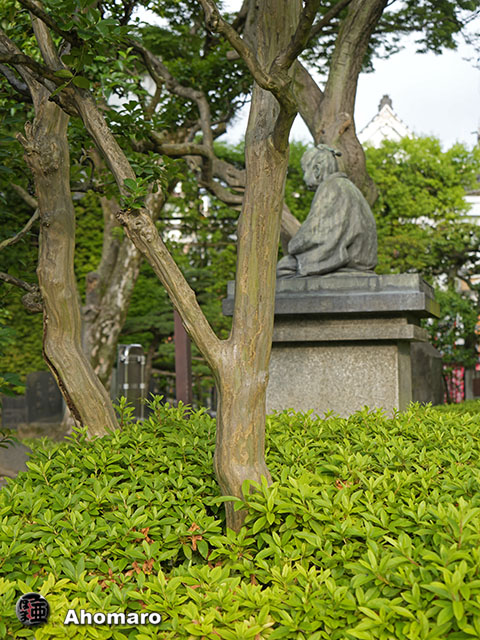 写真00