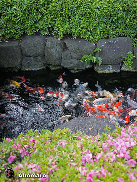 写真00