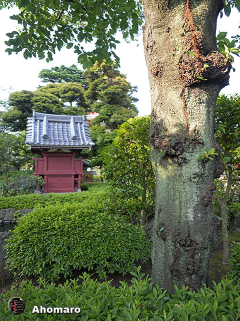 写真00